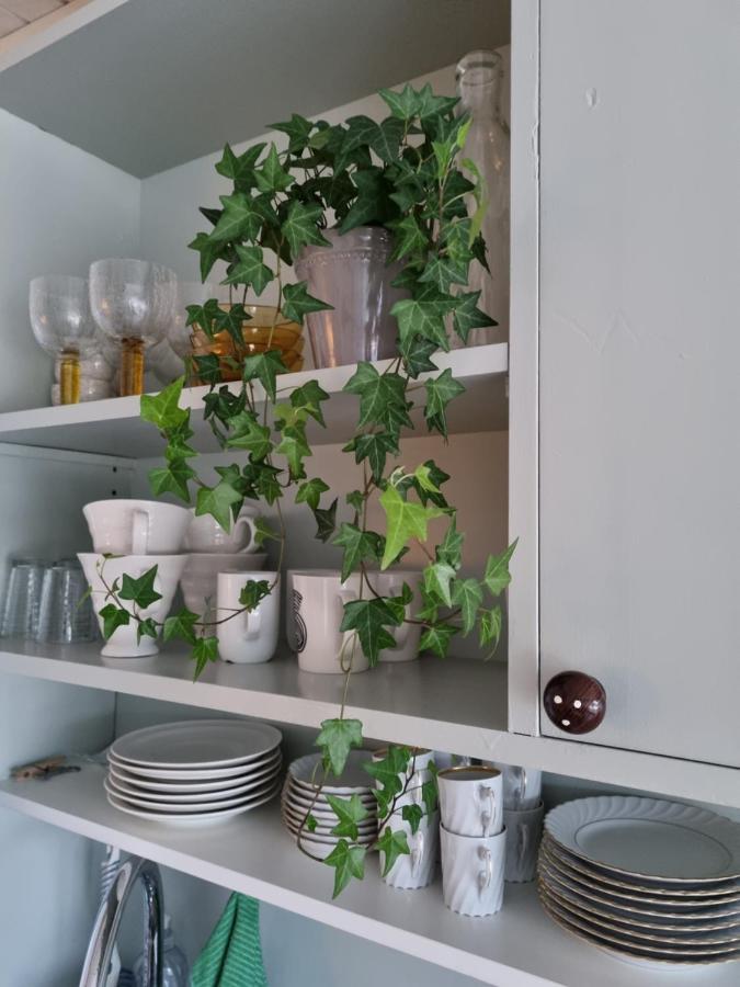 Skjervoy Loftsleilighet Midt I Sentrum מראה חיצוני תמונה